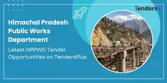 HP-PWD-tender-opportunities
