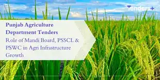 punjab-agri- infrastructure-growth-tenders